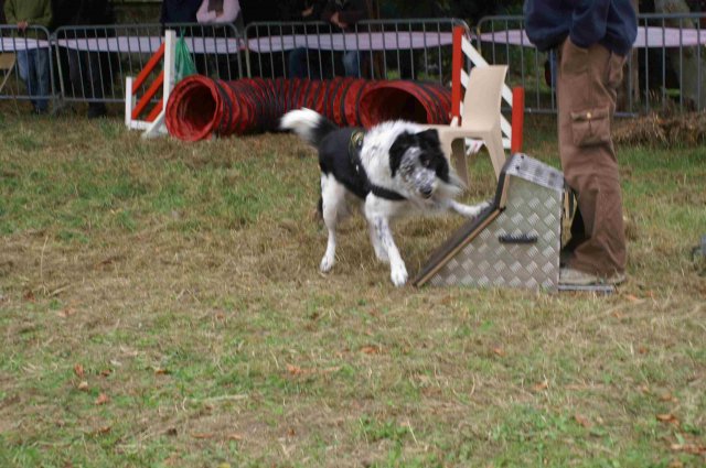 foire-haricots 2011-09-17et18